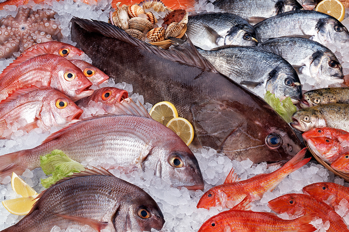 鮮魚の移動販売